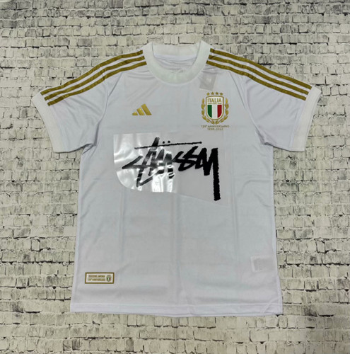 with Sponor Logo Fan Version Italy 2024 White Special Edition Soccer Jersey Football Shirt