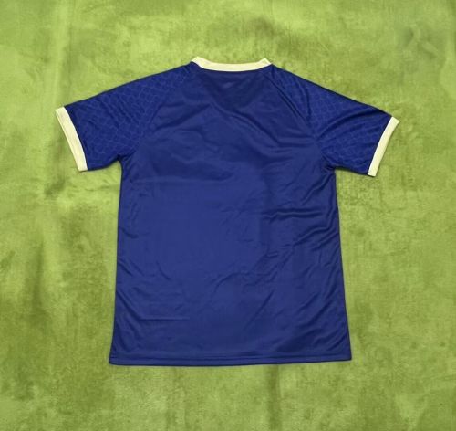 Fan Version Japan 2024 Blue Wukong Version Soccer Jersey Football Shirt
