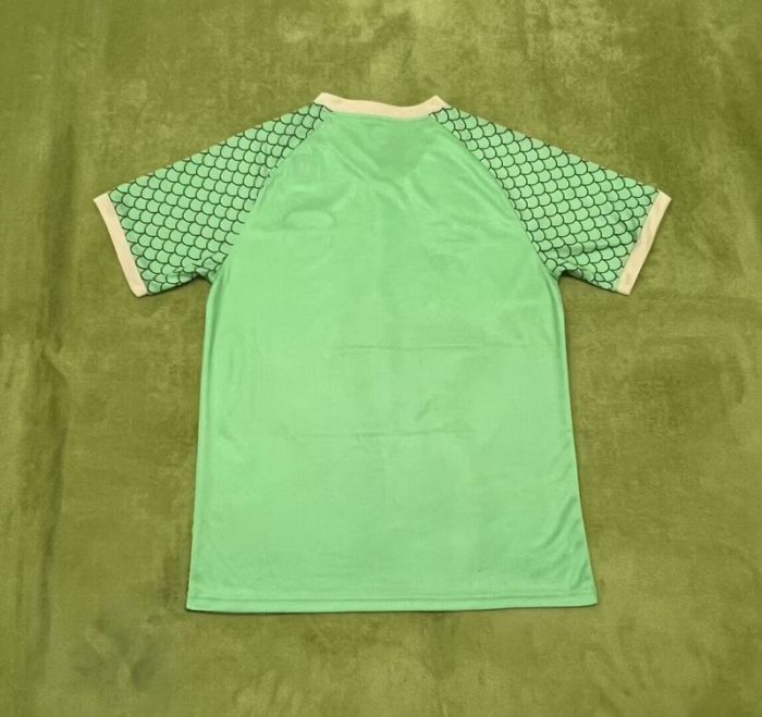 Fan Version Japan 2024 Green Wukong Version Soccer Jersey Football Shirt