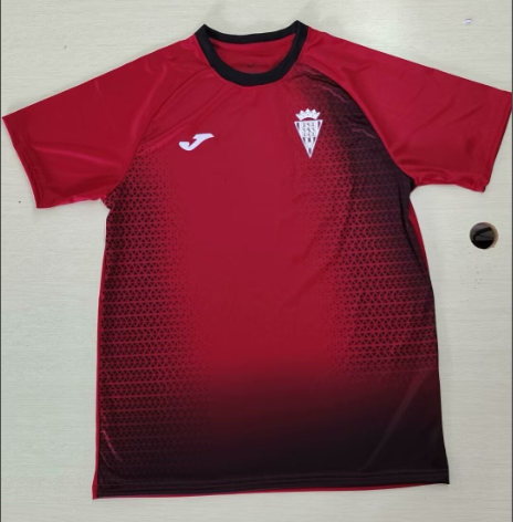 Fan Version 2024-2025 Córdoba Away Red Soccer Jersey Cordoba Cordoba Football Shirt
