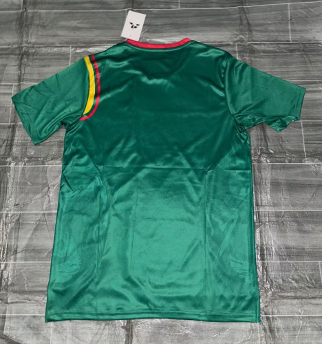 Fan Version 2025 Cameroon Green Soccer Jersey Cameroun Football Shirt