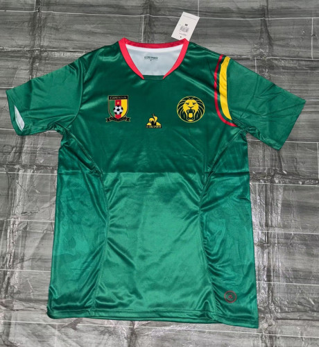 Fan Version 2025 Cameroon Green Soccer Jersey Cameroun Football Shirt