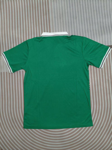 Fan Version 2025 Nigeria Home Soccer Jersey Football Shirt