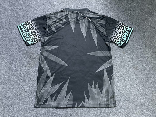 Fan Version 2024 Brazil Black/Grey Special Edition Soccer Jersey Brasil Football Shirt