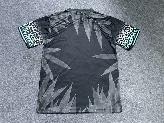 Fan Version 2024 Brazil Black/Grey Special Edition Soccer Jersey Brasil Football Shirt