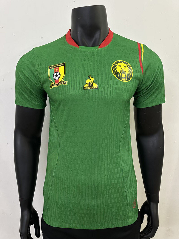 Player Version 2025 Cameroon Green Special Version Soccer Jersey Cameroun Football Shirt