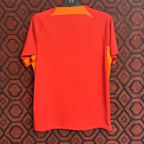 Fan Version 2024-2025 Fotbal Club FCSB Away Red Soccer Jersey Football Shirt