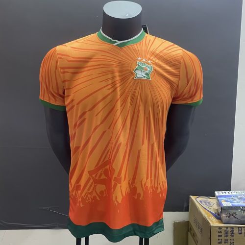 2025 Player Version Ivory Coast Orange Special Edition Football Shirt Côte d'Ivoire Soccer Jersey