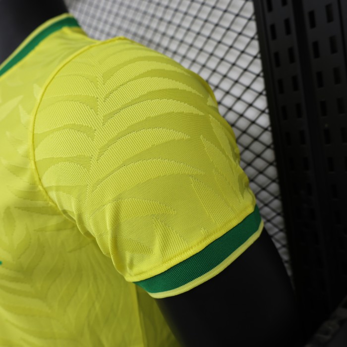 Player Version 2024 Brazil Yellow Special Edition Soccer Jersey Brasil Football Shirt