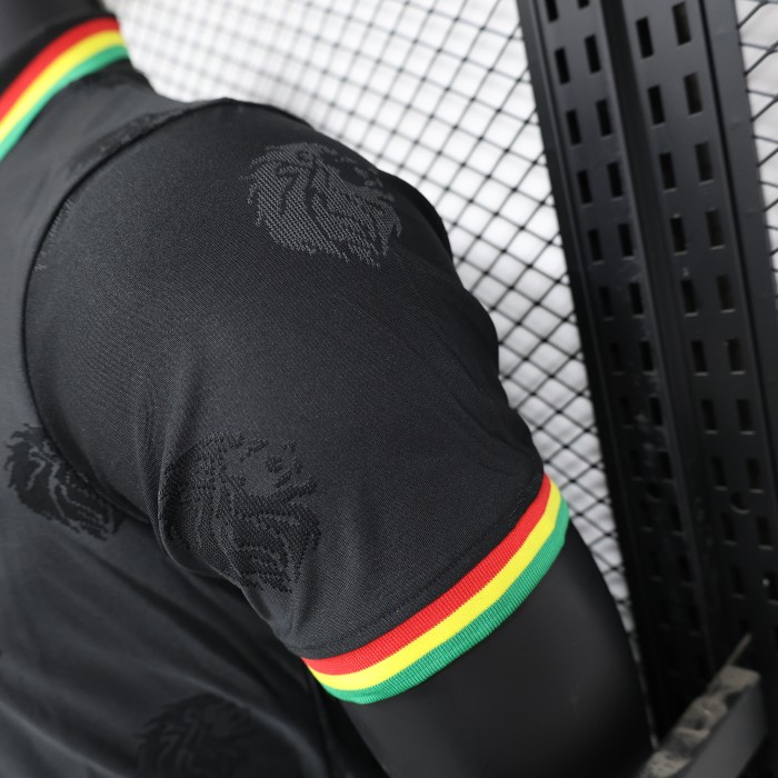 Player Version 2025 Senegal Black Special Edition Soccer Jersey Football Shirt