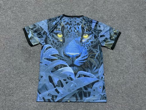 Fan Version 2024 Brazil Blue Special Edition Soccer Jersey Brasil Football Shirt