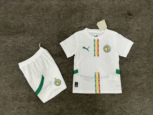 Youth Uniform Kids Kit 2025 Senegal Home Soccer Jersey Shorts Child Football Set