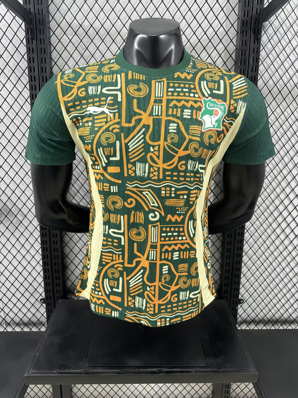 2025 Player Version Ivory Coast Green Football Pre-match Shirt Côte d'Ivoire Soccer Training Jersey