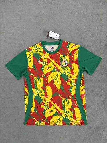 Fan Version 2025 Senegal Yellow/Green/Red Soccer Training Jersey Football Pre-match Shirt