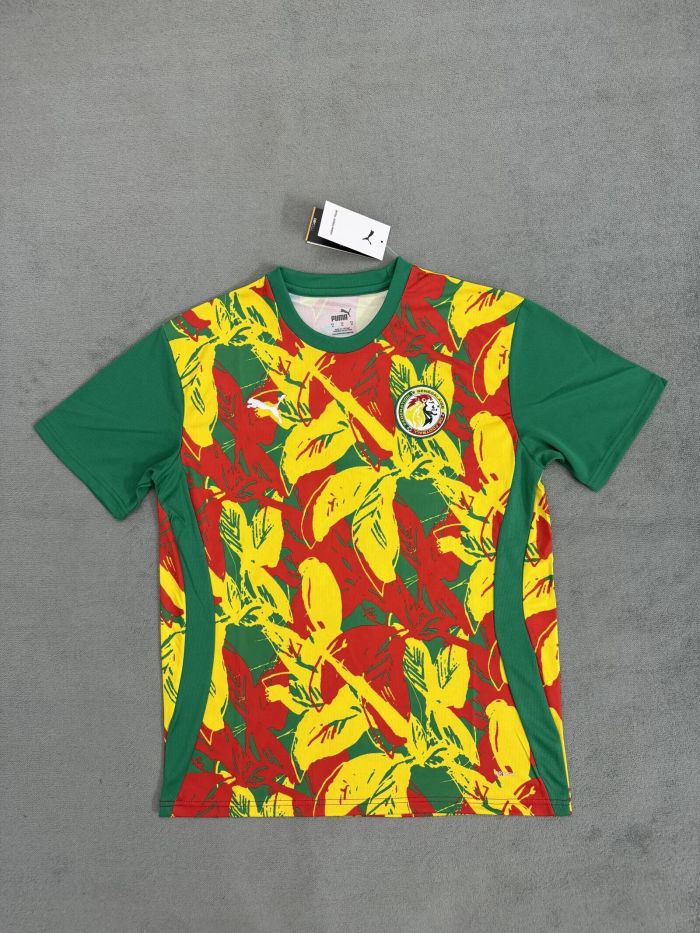 Fan Version 2025 Senegal Yellow/Green/Red Soccer Training Jersey Football Pre-match Shirt
