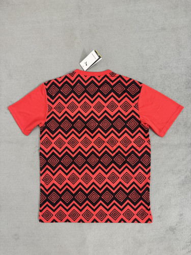 Fan Version 2025 Egypt Red/Black Soccer Training Jersey Football Pre-match Shirt