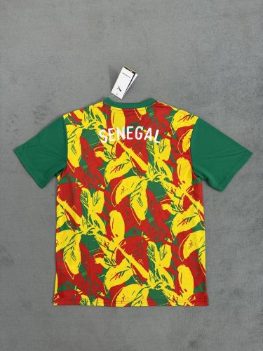 Fan Version 2025 Senegal Yellow/Green/Red Soccer Training Jersey Football Pre-match Shirt