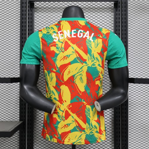 Player Version 2025 Senegal Green/Red/Yellow Soccer Jersey Football Shirt