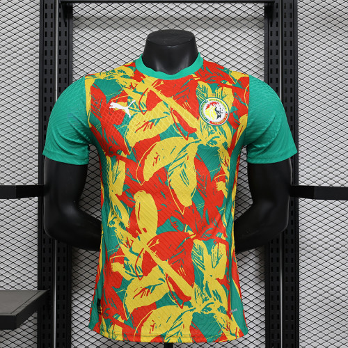 Player Version 2025 Senegal Green/Red/Yellow Soccer Jersey Football Shirt