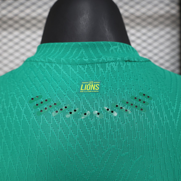 Player Version 2025 Senegal Away Green Soccer Jersey Football Shirt