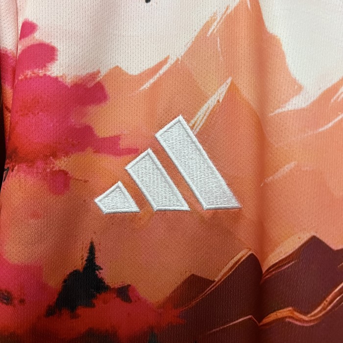 Fan Version Japan 2024 Orange Special Edition Soccer Jersey Football Shirt