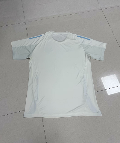 Fan Version 2024-2025 Cruzeiro Light Yellow Football Training Shirt Soccer Jersey