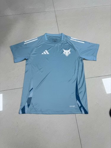 Fan Version 2024-2025 Cruzeiro Blue Football Training Shirt Soccer Jersey