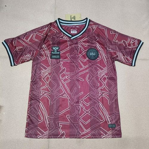 Fan Version Denmark 2025 Home Soccer Jersey Football Shirt