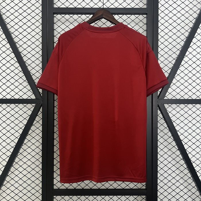 Fan Version 2024-2025 Bayern Munich Red Soccer Jersey Bayern Munchen Football Shirt