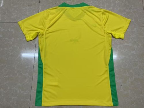 Fan Version 2025 Brazil Home Soccer Jersey Brasil Camisetas de Futbol