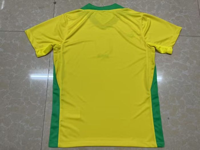 Fan Version 2025 Brazil Home Soccer Jersey Brasil Camisetas de Futbol