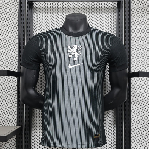 Player Version 2025 Netherlands Black Goalkeeper Soccer Jersey Holland Football Shirt