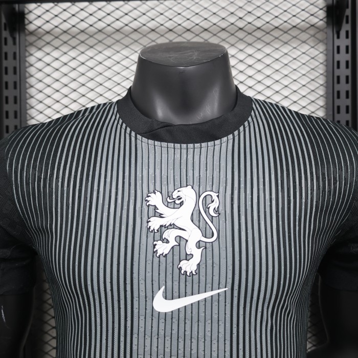 Player Version 2025 Netherlands Black Goalkeeper Soccer Jersey Holland Football Shirt