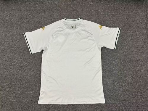 Fans Version 2025 Tunisia White Soccer Jersey Football Shirt