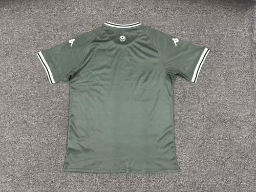 Fans Version 2025 Tunisia Green Soccer Jersey Football Shirt