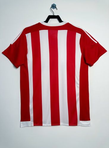 Retro Jersey 2015-2016 Southampton Home Soccer Jersey Vintage Football Shirt