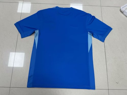 Fan version 2025 Australia Blue Soccer Jersey Football Shirt