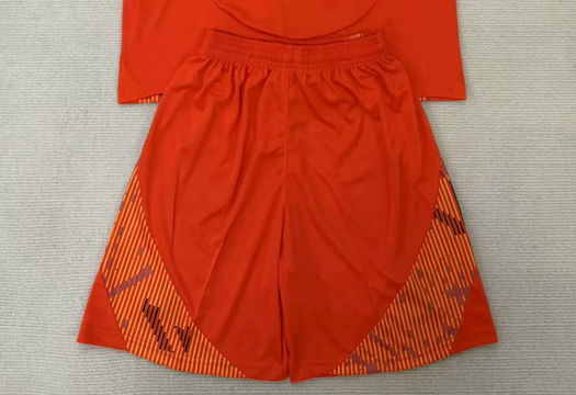 Fan Version 2025-2026 Universidad de Chile Away Soccer Shorts Football Shorts