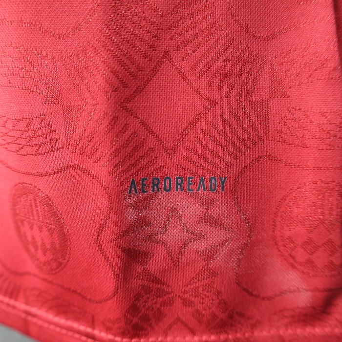 Long Sleeve Player Version 2024-2025 Bayern Munich 125th Anniversary Soccer Jersey Bayern Munchen Red Football Shirt
