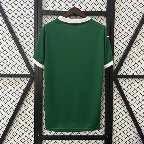 Fan Version 2025-2026 Palmeiras Home Soccer Jersey Football Shirt