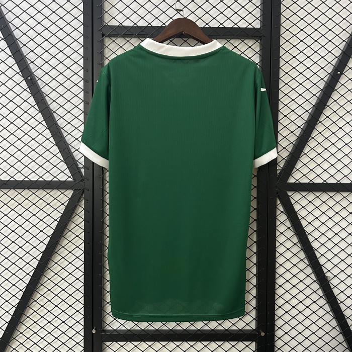 Fan Version 2025-2026 Palmeiras Home Soccer Jersey Football Shirt