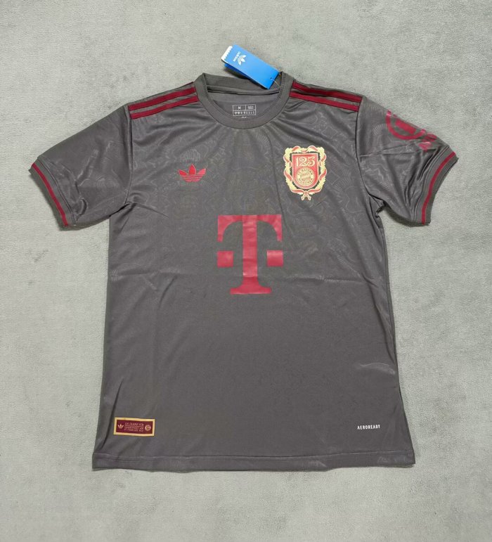 Fan Version 2024-2025 Bayern Munich 125th Anniversary Soccer Jersey Bayern Munchen Grey Football Shirt