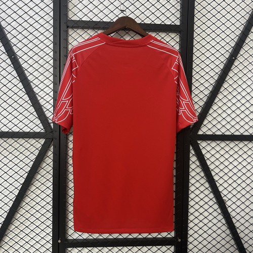 Fan Version 2025-2026 PSG Third Away Red Soccer Jersey Paris Football Maillot
