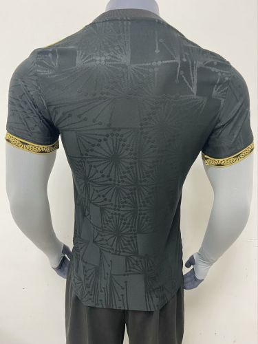 Fan Version 2025-2026 Fenerbahce Black/Grey Special Edition Soccer Jersey