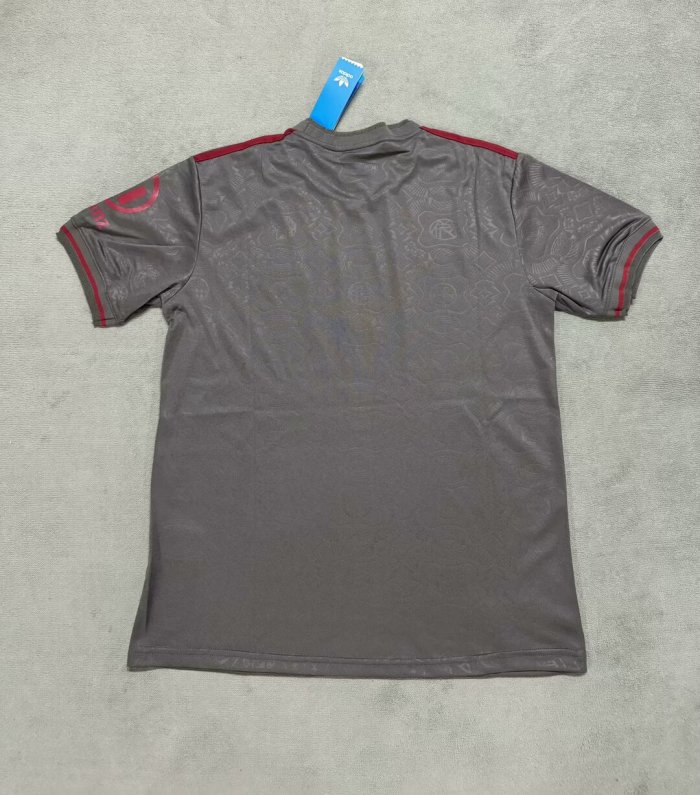 Fan Version 2024-2025 Bayern Munich 125th Anniversary Soccer Jersey Bayern Munchen Grey Football Shirt
