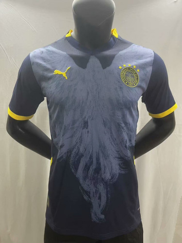 Fan Version 2025-2026 Fenerbahce Black/Grey Special Edition Soccer Jersey