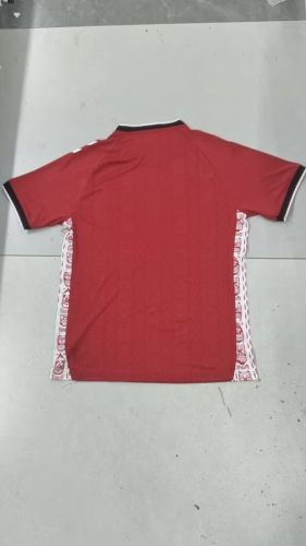 Fan Version Greenland 2025 Home Soccer Jersey Football Shirt