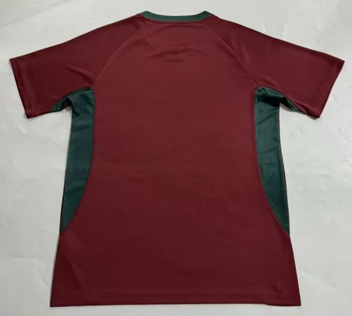 Fan Version 2025-2026 Fluminense Dark Red Soccer Training Jersey Football Shirt