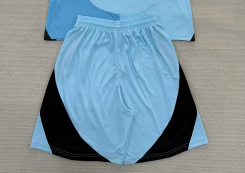 Fan Version 2025-2026 Minnesota United FC Away Blue Soccer Shorts Football Shorts