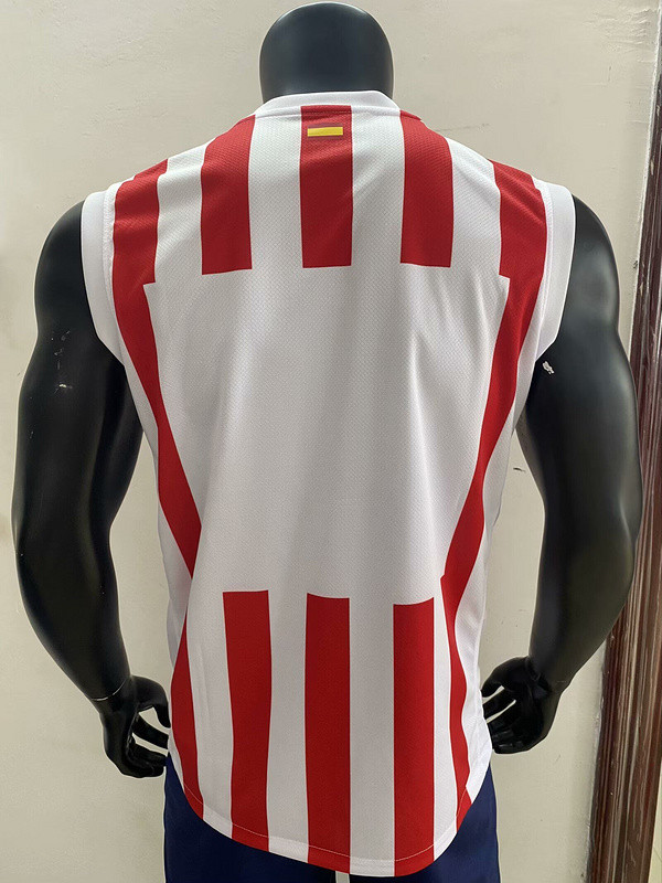 Fan Version 2025-2026 Atletico Madrid Home Soccer Vest